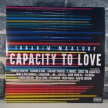 Capacity to love (FRA NEUF Vinyle 12'' (LP) Musique)